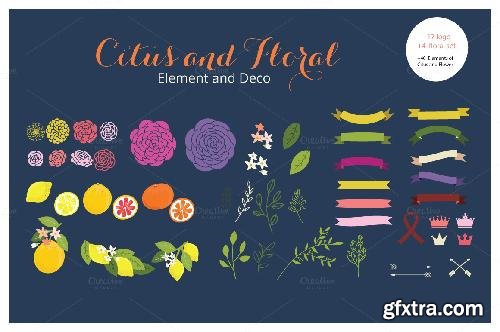 CreativeMarket CITUS LOGO TEMPLAT KIT 673830