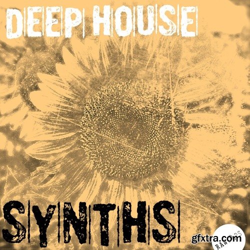 Raw Loops Deep House Synths WAV-FANTASTiC