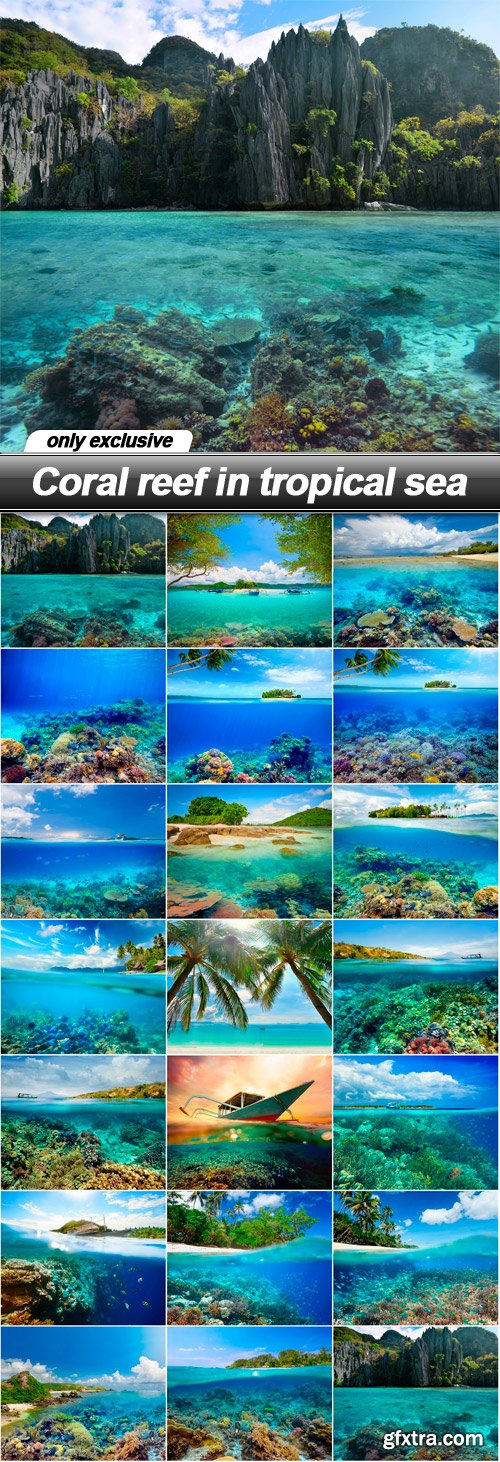 Coral reef in tropical sea - 20 UHQ JPEG