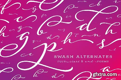 CreativeMarket Adorn Garland Smooth 673782