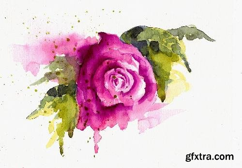 CreativeMarket Bundle offer of watercolors 681844