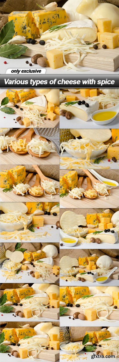 Various types of cheese with spice - 14 UHQ JPEG