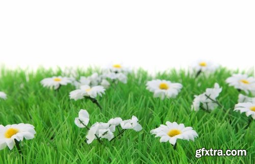 Collection of flower meadow wild flower meadow field sprout landscape 25 HQ Jpeg