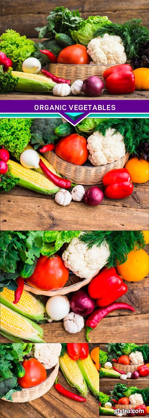 Composition with assorted raw organic vegetables 5x JPEG