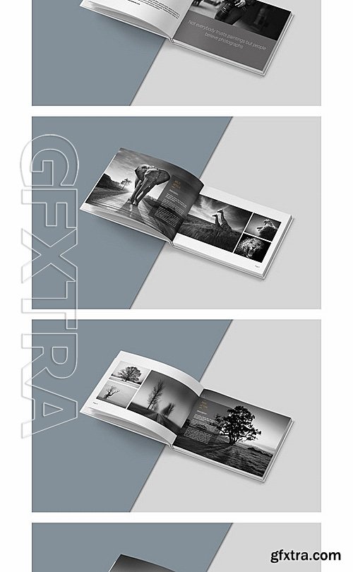 CM - Simple Portfolio Photography Bundle 689692