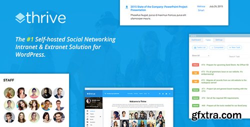 ThemeForest - Thrive v1.8.6 - Intranet & Community WordPress Theme - 12275020