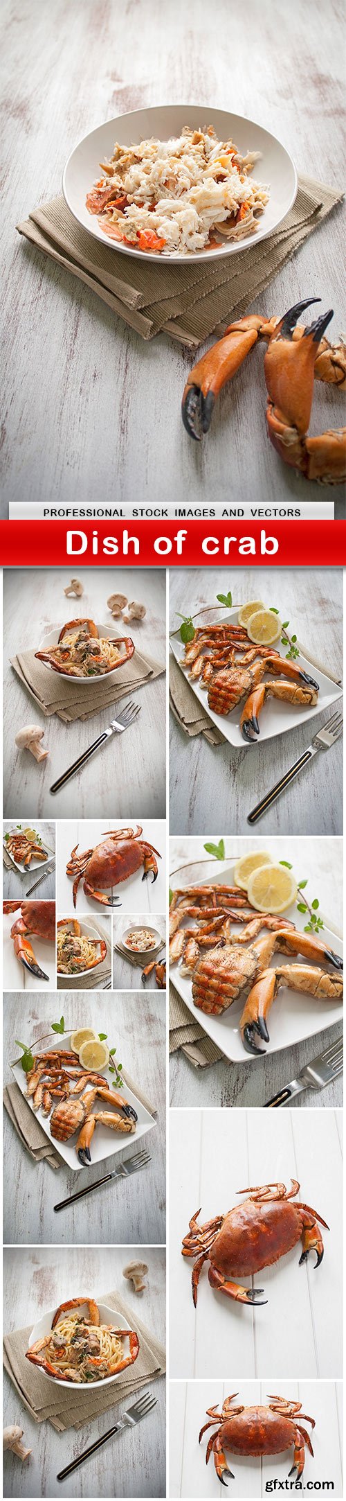 Dish of crab - 9 UHQ JPEG