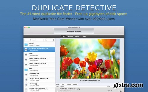 Duplicate Detective 1.96 (Mac OS X)