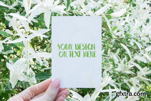 CreativeMarket Card in Women Hand #2 / PSD, Mockup 689846