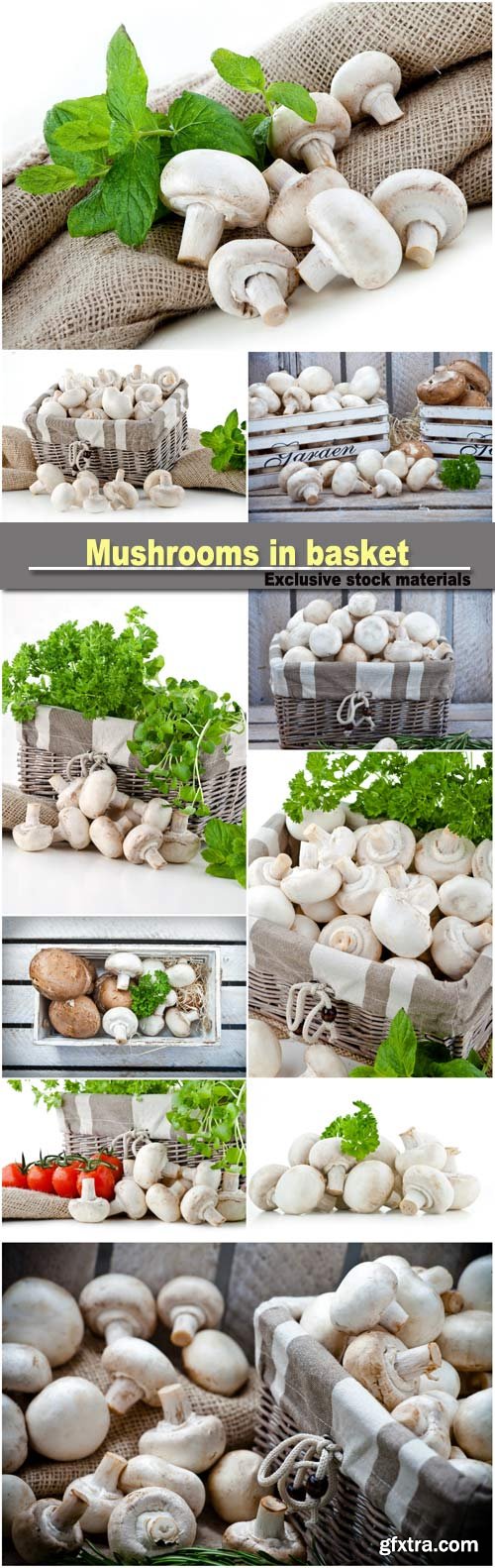 Mushrooms in basket