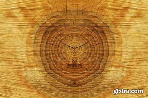 Collection background is texture pattern wood skin paint von 25 HQ Jpeg