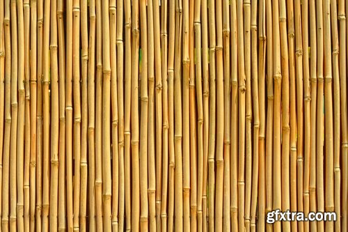 Collection background is texture pattern wood skin paint von 25 HQ Jpeg