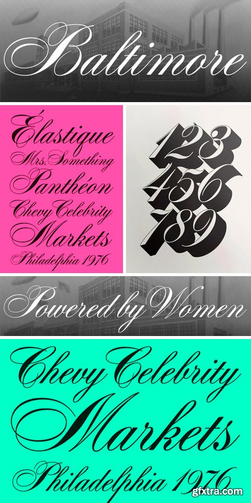 Davison Spencerian Font Family