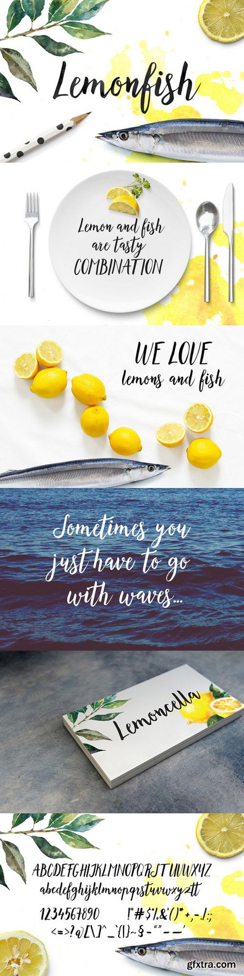 CM - Lemonfish Script Font 685333