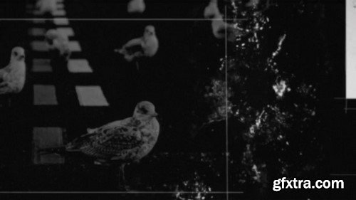 Motion Array - B&W Trailer After Effects Template