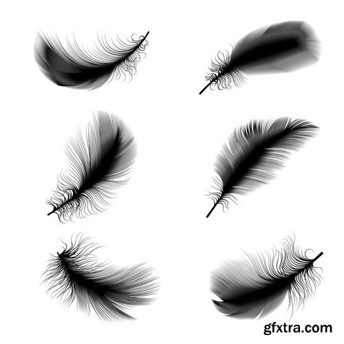 bird feathers 8X EPS