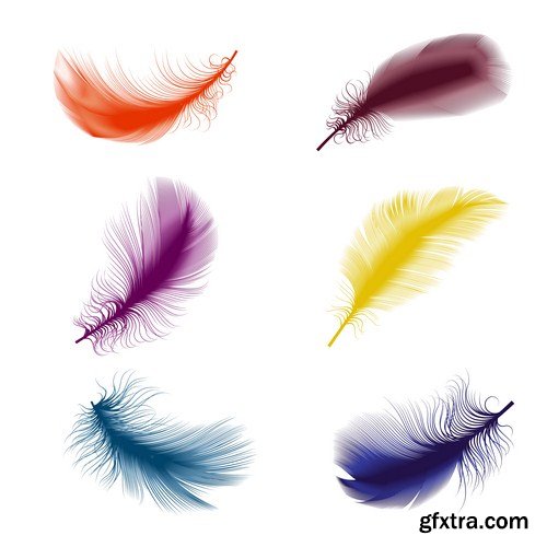 bird feathers 8X EPS