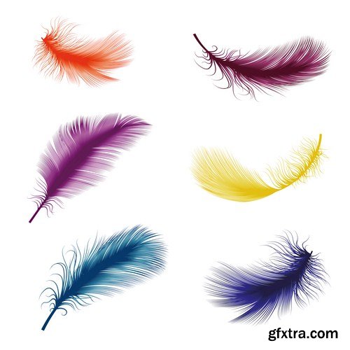 bird feathers 8X EPS