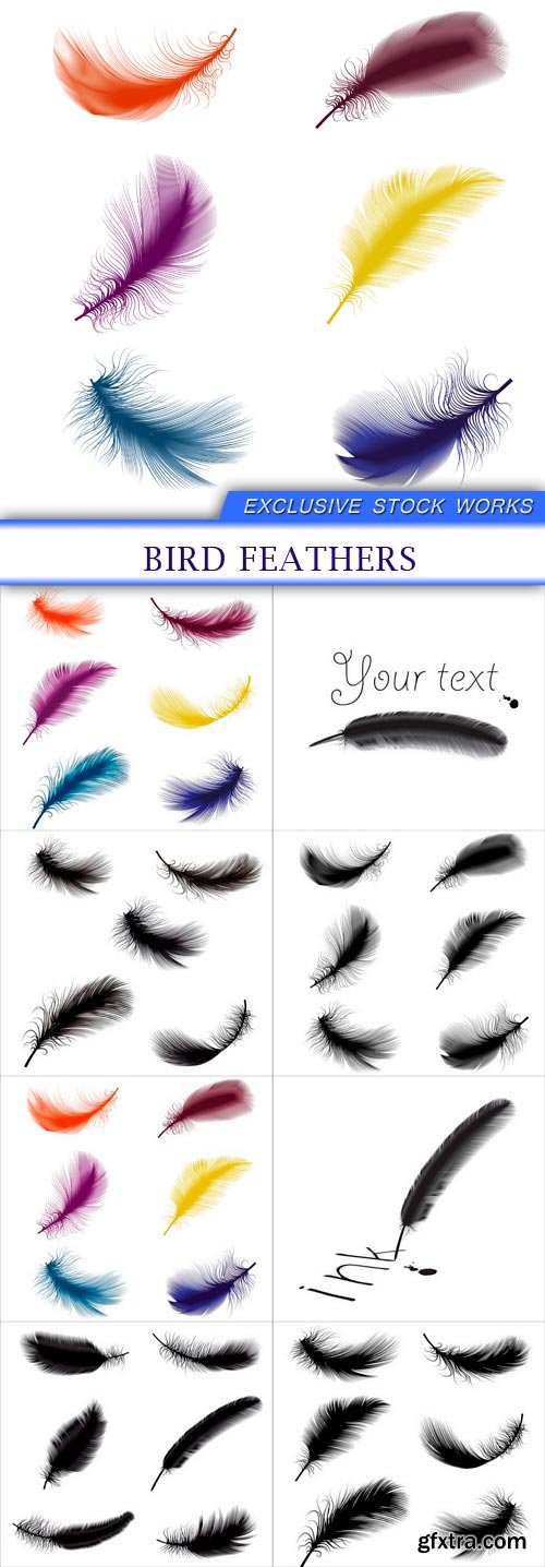 bird feathers 8X EPS