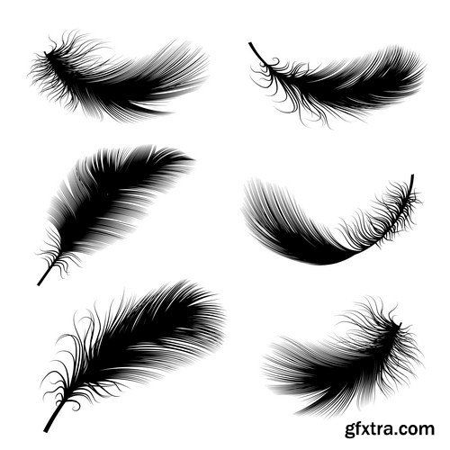 bird feathers 8X EPS