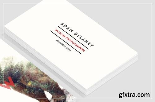 CreativeMarket Wildlife Business Card Template 684757