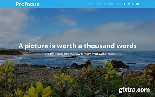 SomoThemes - Profocus v1.0.0 - WordPress Theme