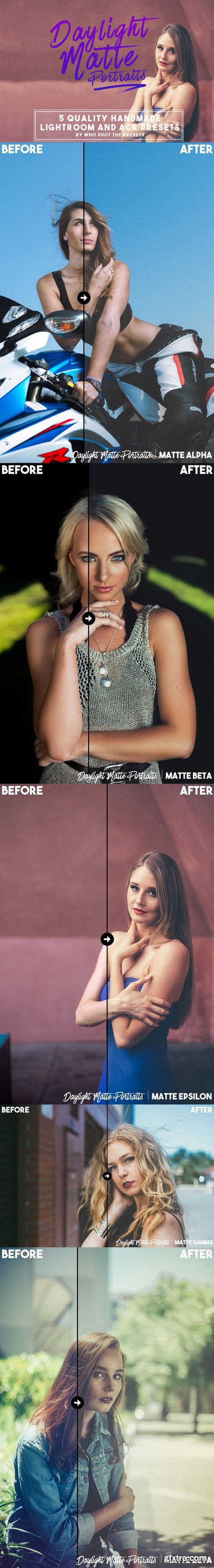 CM - Daylight Matte Preset (LR & ACR) 698091