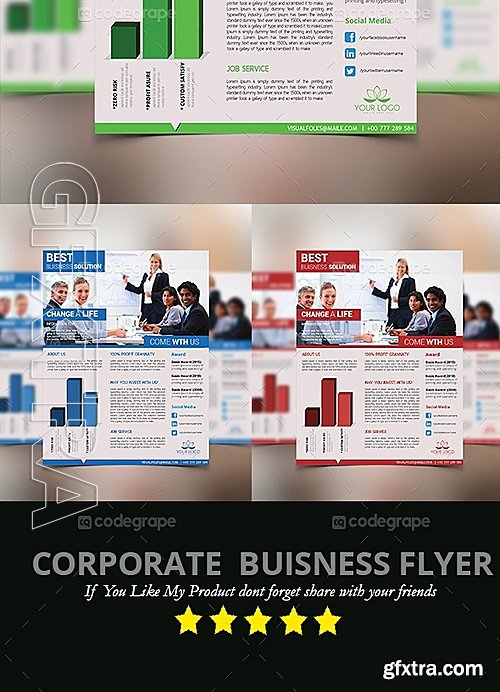 Corporate Business Flyer 5403