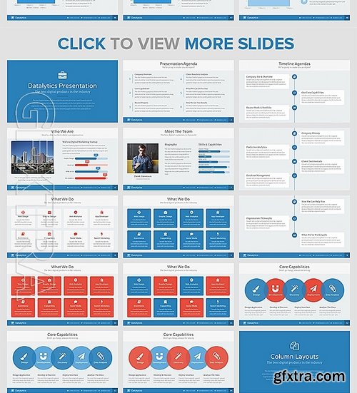 Datalytics PowerPoint Presentation