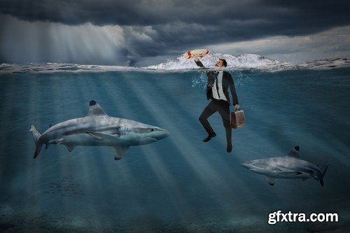 Business concept with sharks-8xJPEGs