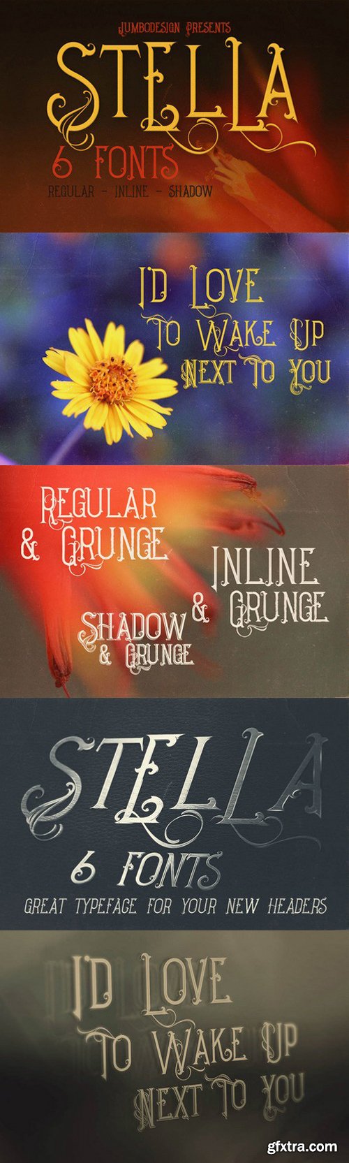 CM - Stella - Decorative Font 694847