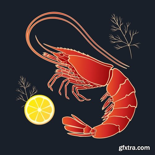 Collection prawn shrimp seafood menu vector image 25 EPS