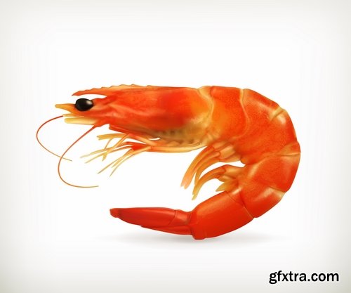 Collection prawn shrimp seafood menu vector image 25 EPS