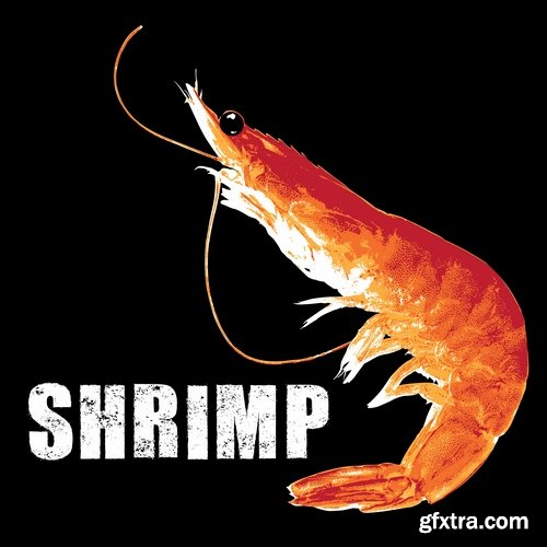 Collection prawn shrimp seafood menu vector image 25 EPS