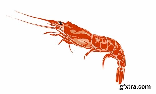 Collection prawn shrimp seafood menu vector image 25 EPS