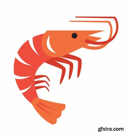 Collection prawn shrimp seafood menu vector image 25 EPS