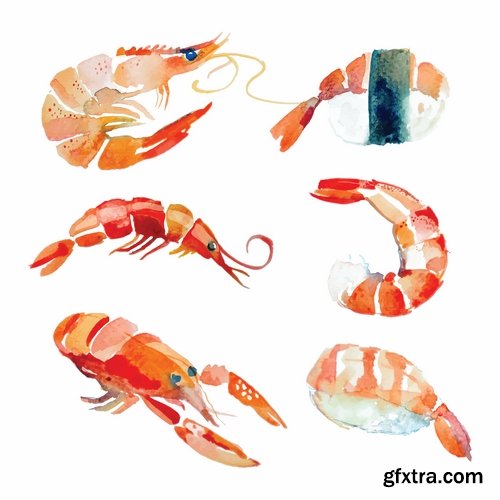 Collection prawn shrimp seafood menu vector image 25 EPS