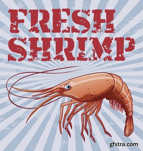 Collection prawn shrimp seafood menu vector image 25 EPS