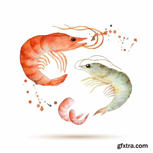 Collection prawn shrimp seafood menu vector image 25 EPS