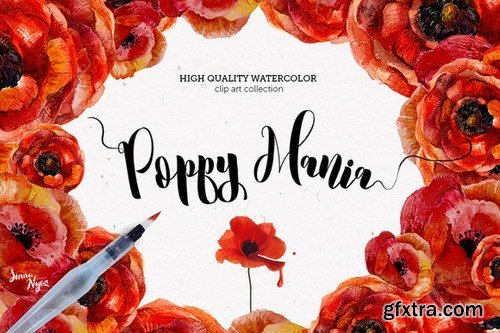 CM - Poppy Mania Watercolor Clip Art Set 689916