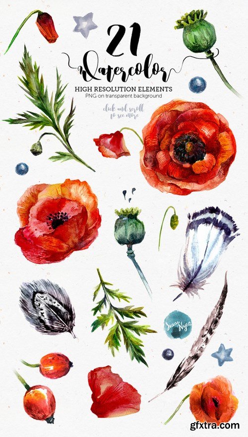 CM - Poppy Mania Watercolor Clip Art Set 689916