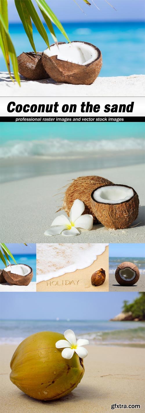 Coconut on the sand-5xJPEGs