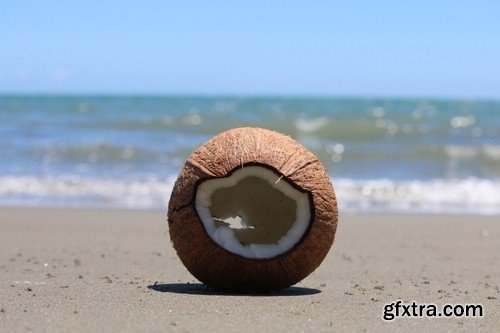 Coconut on the sand-5xJPEGs