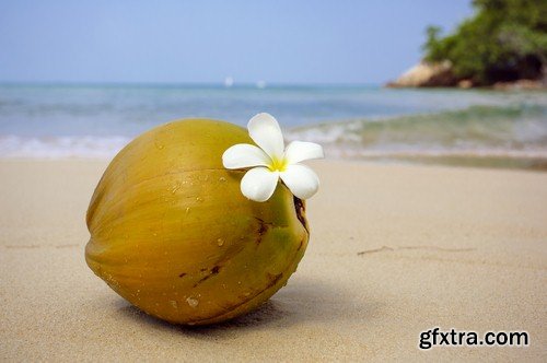 Coconut on the sand-5xJPEGs