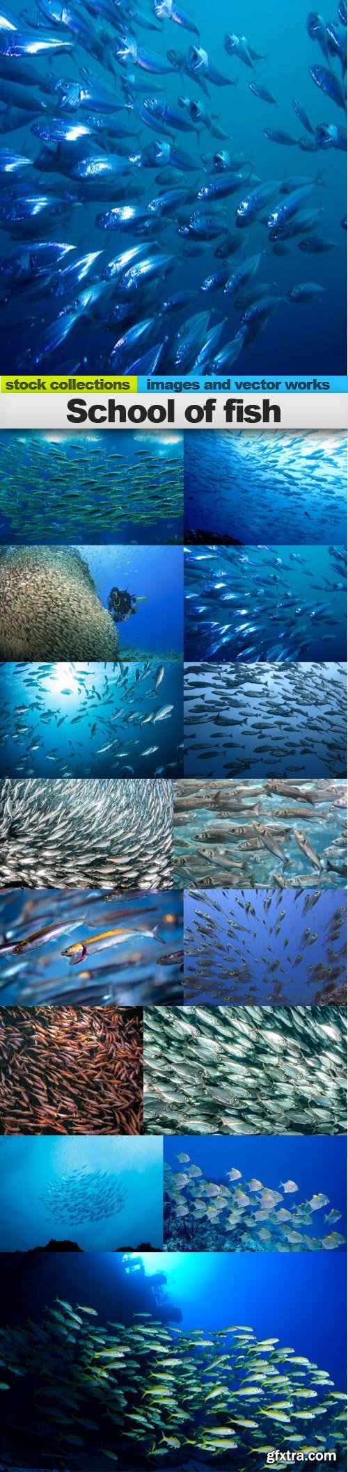 School of fish, 15 x UHQ JPEG