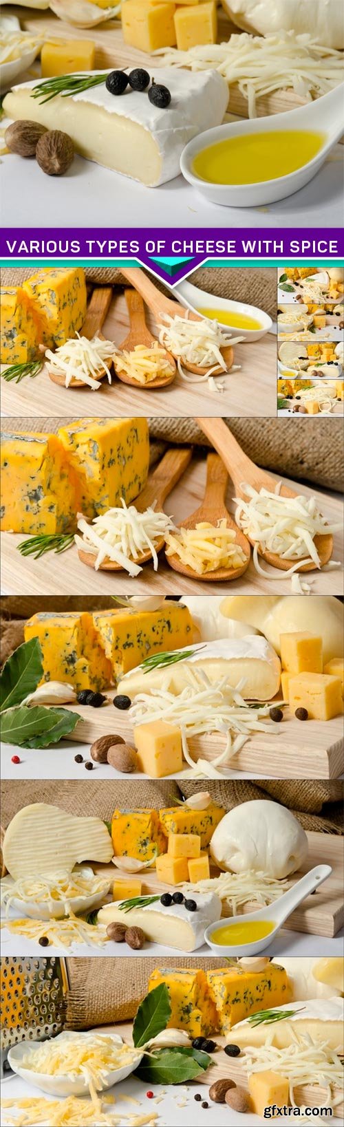 Various types of cheese with spice 10x JPEG