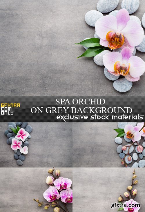 Spa Orchid on Grey Background - 5 UHQ JPEG