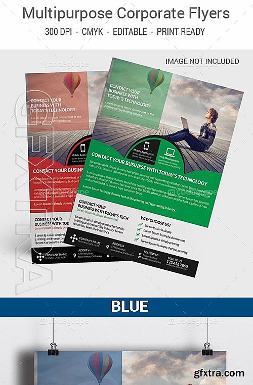 Multipurpose Corporate Flyer 5831