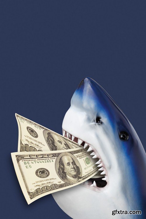 Concept dollar and shark-8xJPEGs