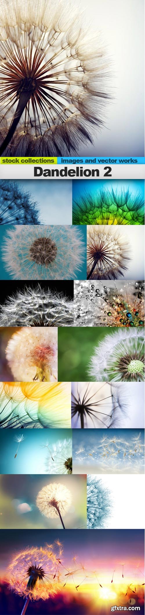 Dandelion 2, 15 x UHQ JPEG